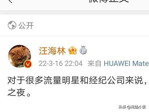 爆料娱乐圈的瓜,揭秘明星背后的惊人真相 第3张 爆料娱乐圈的瓜,揭秘明星背后的惊人真相 第3张