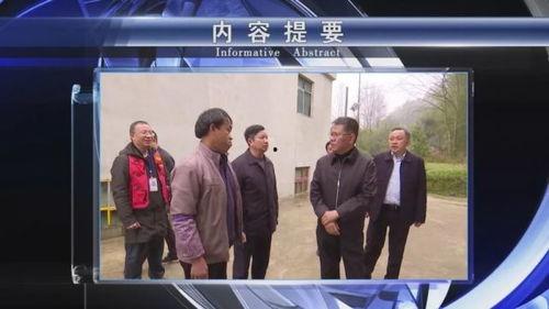 惠水新闻爆料,揭秘当地热点事件背后的真相  第2张